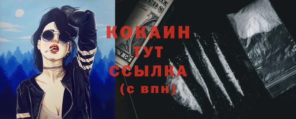 спайс Богородицк