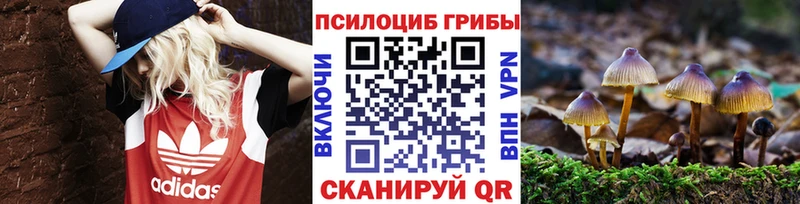 сайты даркнета как зайти наркотики Кольчугино Галлюциногенные грибы Cubensis